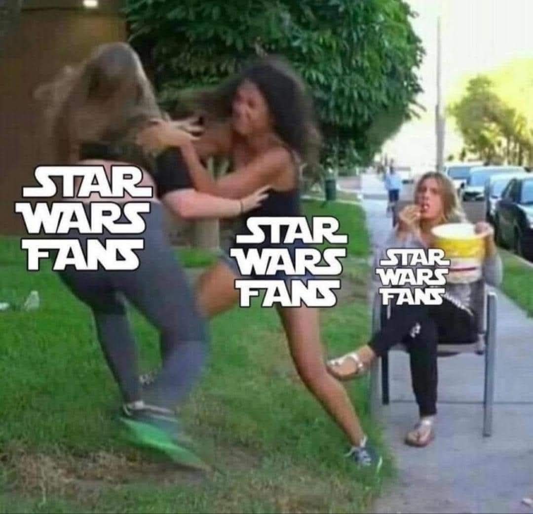 The meme is a humorous representation of the intense passion and dedication that Star Wars fans have for the franchise. The image depicts a group of people in a physical altercation, with the text "STAR WARS FANS" ove...