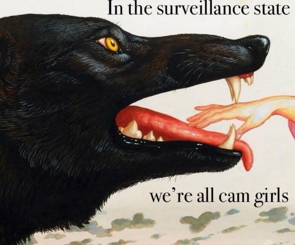 558985436_792421946924828_8273448507048812731_n