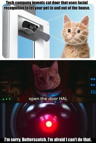 This meme is a play on the classic "I'm watching you" phrase, but with a twist. It features a picture of a cat's face with a red dot, similar to the one used in security cameras, and the caption "I'm watching you" is replaced with "I'm watching you... I'm watching you...". The image is humorous because it's a cat "watching" the viewer, but the cat is also watching the viewer, creating a sense of meta- surveillance.
