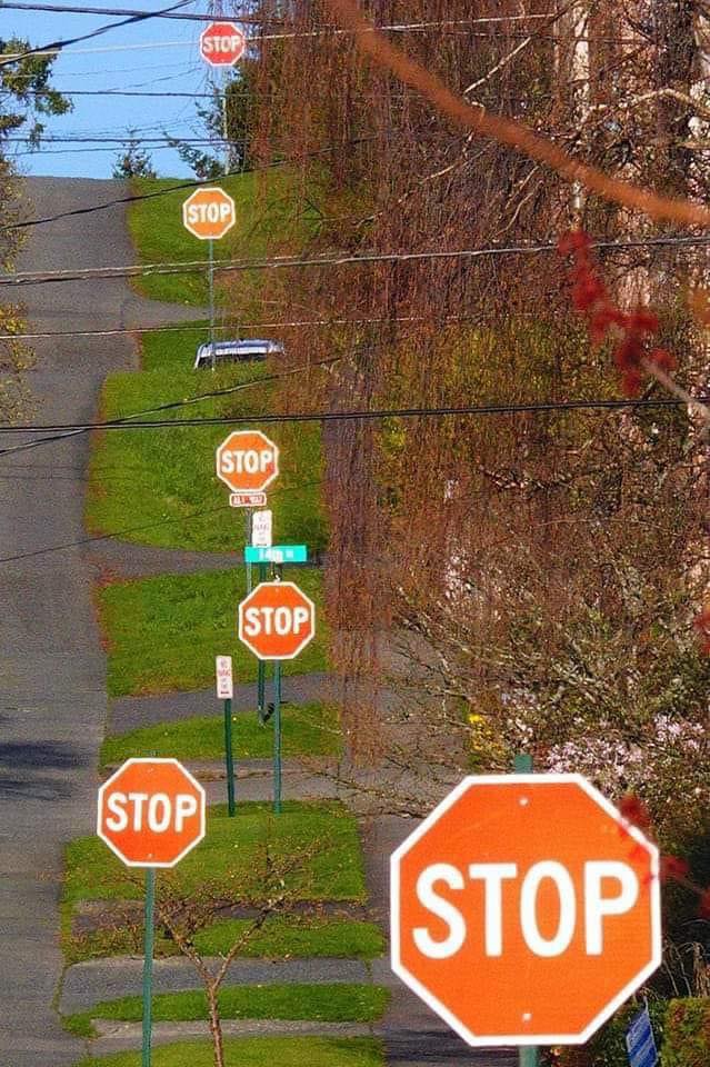 The meme features a series of stop signs on a road, each one getting smaller and more distant as they recede into the distance. The text on the signs reads "STOP" in bold, white letters. The joke is that the signs are getting smaller and more distant, but still very much still saying "STOP" in a humorous and absurd way.