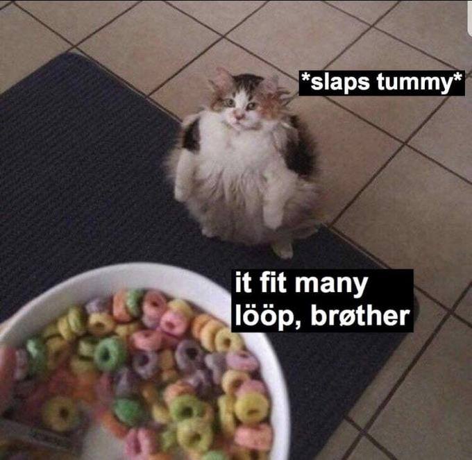 This meme is a picture of a cat looking at a bowl of cereal with a surprised expression. The text overlay reads "I can smell the desperation" and "it's not a lie if you believe it". The meme is likely referencing the idea that the cat is so hungry it's willing to eat anything, even if it's not a good idea.