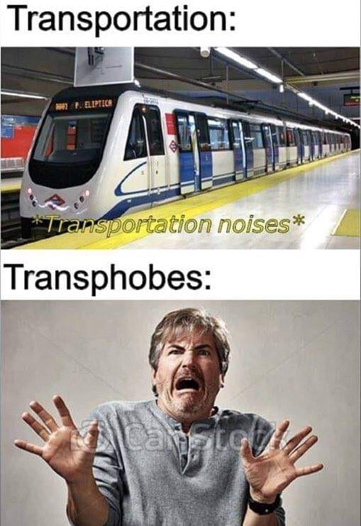 This meme is a play on the common fear of public transportation. It shows a train with a caption that says "Transportation" and a person with a caption that says "L-istening to L-train announcements is T-R-A-U-M-A-T-I-C" (a wordplay on "traumatic" that is also a train-related pun).