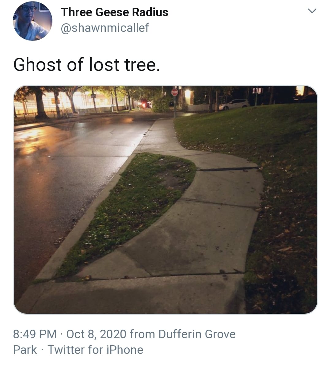 The meme is an image of a sidewalk with a small patch of grass that has been mowed into a ghostly shape. The text "Ghost of lost tree" is overlaid on the image, implying that a tree once stood in that spot but has since been removed, leaving behind a faint outline of its former presence. The image is likely meant to be humorous, poking fun at the idea that a tree can be so thoroughly erased from a public space that only its ghostly outline remains.