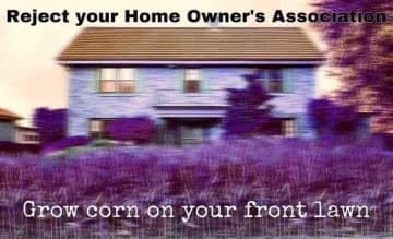 This meme is an image of a house with a caption that says "Remove all of the corn from your lawn" and another caption that says "But keep the corn in your garden". The image is likely a humorous take on the common phrase "remove all of the corn from your lawn" and is meant to be ironic or absurd.