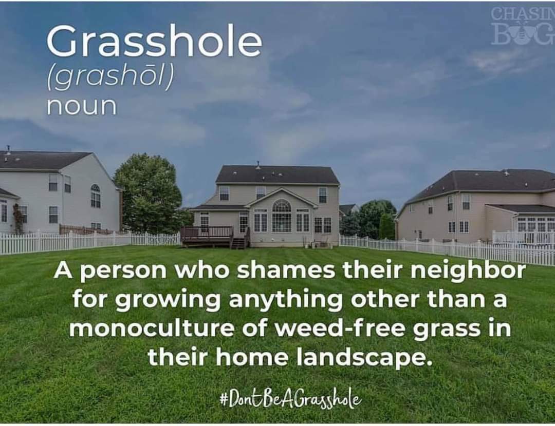 The meme is an image of a lawn with a large, unmanicured area in the center, surrounded by a neatly trimmed lawn. The image is captioned "Lawn, but technically a lawn" and has the word "lawn" crossed out with a red pen. The meme is poking fun at the idea of a "lawn" that is actually a large, unmanicured area, implying that it's not really a lawn at all.
