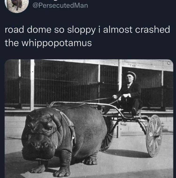 The meme is a playful image of a dinosaur (a T-Rex) riding a skateboard and doing a trick, with a caption that says "I can smell the desperation".