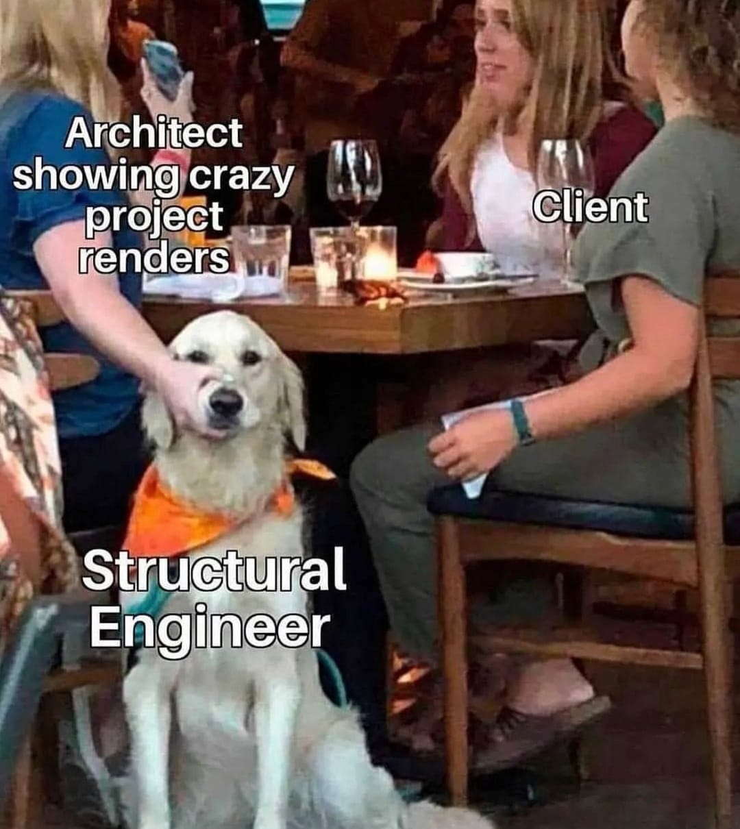 This meme is a humorous image of a person sitting at a table with a dog, with the caption "Architect: 'It's just a minor issue, I'll just add a few more floors to this skyscraper and it'll be fine.'" The text is overlaid on an image of a person trying to explain a complex design to a client, with a dog sitting at the table looking unimpressed.