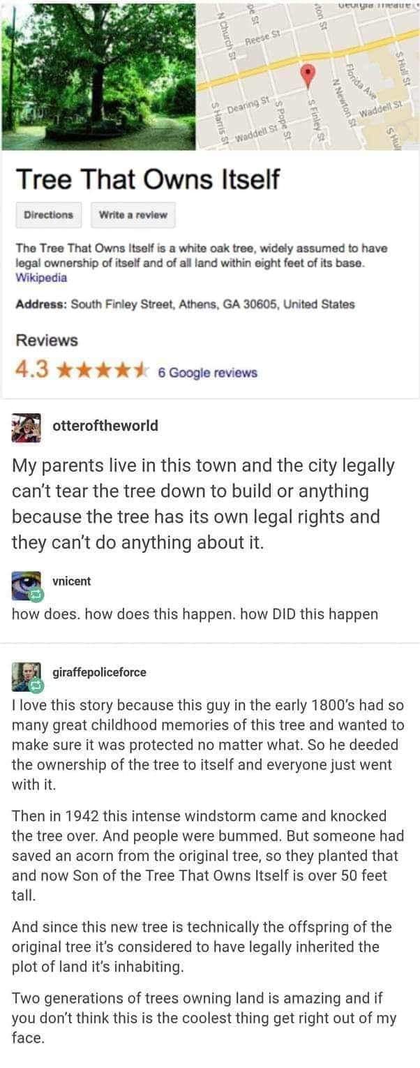 This meme is a screenshot of a Wikipedia article for a fictional place called "Tree That Owns Itself". The text reads: "The Tree That Owns Itself is a white oak tree in Athens, Georgia, that is said to have been declared the owner of the lot it stands on, and is therefore considered to be its own landlord." The meme is likely being used to express a sense of absurdity or humor, as it's a bizarre and unlikely scenario.