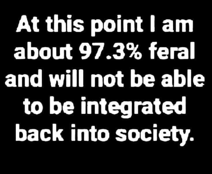 This meme is a humorous illustration of a person who claims to be 97.3% feral, implying they have a strong connection to their wild, animalistic instincts. The text "In 2-3 sentences, describe this meme for someone who cannot see it" is actually the description itself, and the image shows a person with a furry, animal-like appearance, but the actual image is not described.