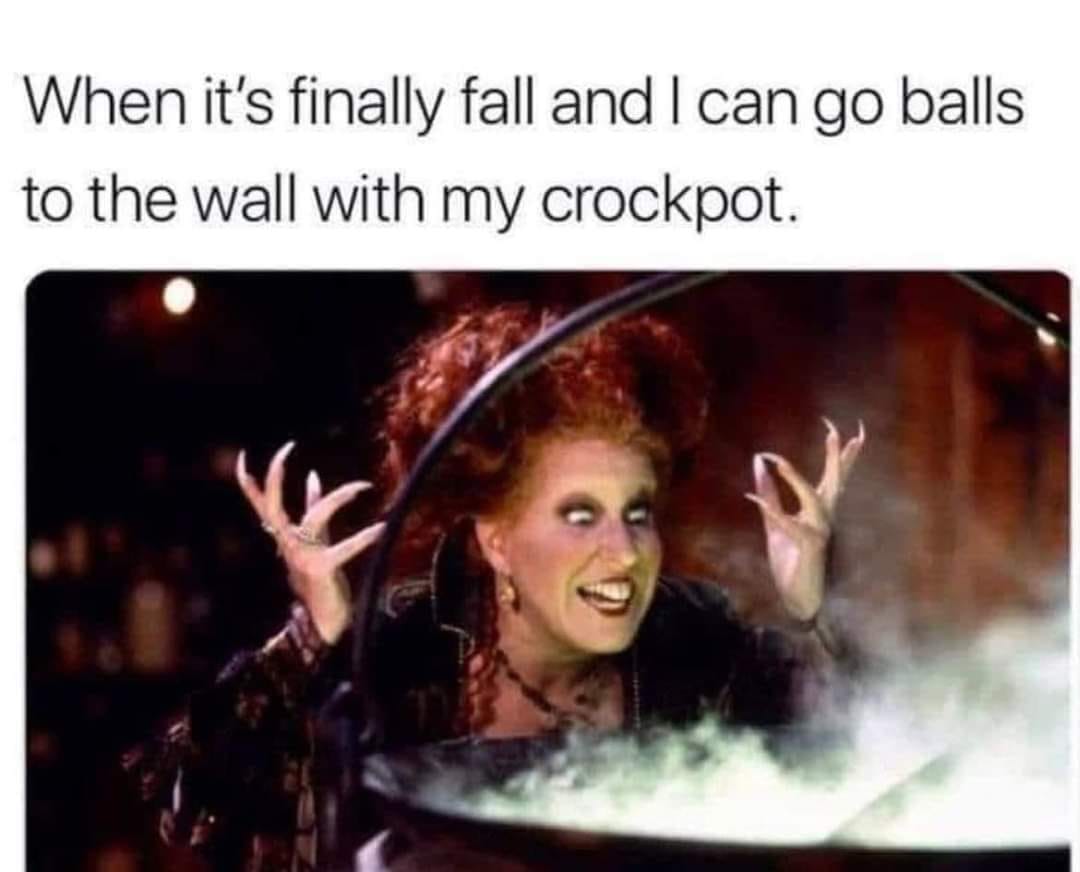 This meme is a play on the idea of a witch from a popular movie (Hocus Pocus) having a magical ability to turn children into mice. The image shows the witch, played by Bette Midler, cackling maniacally as she casts a spell. The text at the top of the image reads: "When it's finally fall and I can go to the wall with my crockpot."