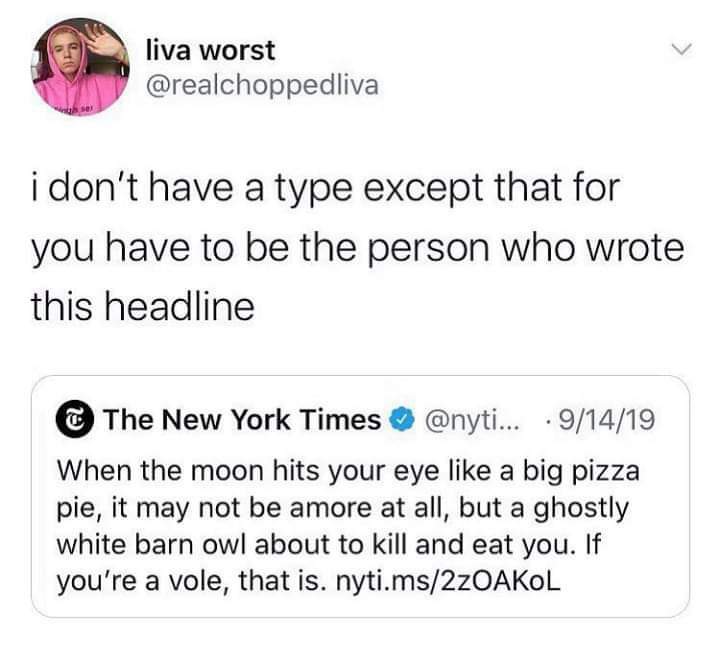 This meme is a humorous response to a New York Times article that used a long, complex, and confusing sentence as its headline. The author of the tweet is expressing their frustration and annoyance at the article's use of a complex and overly complicated sentence. The tweet says "I don't have a type except for the person who wrote this headline" and is accompanied by a link to the article.